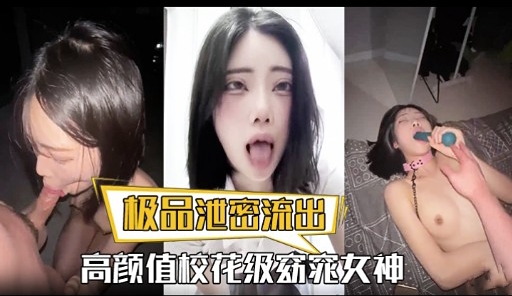 极品泄密流出高颜值校花级窈窕女神